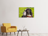 Leinwandbild 3-teilig Aufmerksamer Boxer