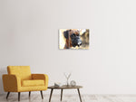 Leinwandbild 3-teilig Der Boxer Blick