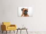 Leinwandbild 3-teilig Typisch Boxer