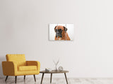 Leinwandbild 3-teilig Der Boxer