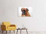 Leinwandbild 3-teilig Der Boxer