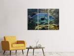 Leinwandbild 3-teilig Grosser Fisch