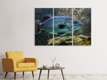 Leinwandbild 3-teilig Grosser Fisch