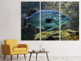 Leinwandbild 3-teilig Grosser Fisch