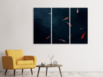 Leinwandbild 3-teilig Fische im Teich