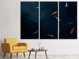 Leinwandbild 3-teilig Fische im Teich