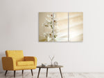 Leinwandbild 3-teilig Orchidee im Glas
