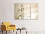 Leinwandbild 3-teilig Orchidee im Glas