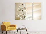 Leinwandbild 3-teilig Orchidee im Glas