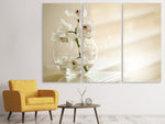Leinwandbild 3-teilig Orchidee im Glas