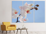 Leinwandbild 3-teilig Orchidee im Himmel