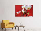 Leinwandbild 3-teilig Weisse Orchideen auf roter Wand