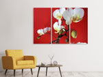 Leinwandbild 3-teilig Weisse Orchideen auf roter Wand