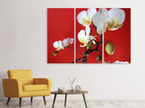 Leinwandbild 3-teilig Weisse Orchideen auf roter Wand