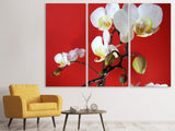 Leinwandbild 3-teilig Weisse Orchideen auf roter Wand