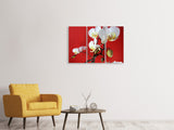 Leinwandbild 3-teilig Weisse Orchideen auf roter Wand