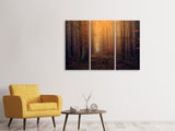 Leinwandbild 3-teilig Geheimnisvoller Wald