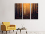 Leinwandbild 3-teilig Geheimnisvoller Wald