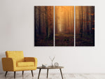 Leinwandbild 3-teilig Geheimnisvoller Wald