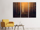 Leinwandbild 3-teilig Geheimnisvoller Wald