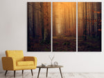 Leinwandbild 3-teilig Geheimnisvoller Wald