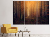 Leinwandbild 3-teilig Geheimnisvoller Wald