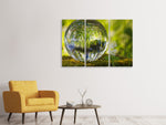 Leinwandbild 3-teilig Natur Kugel