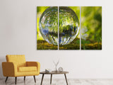 Leinwandbild 3-teilig Natur Kugel
