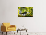 Leinwandbild 3-teilig Natur Kugel