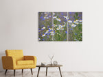 Leinwandbild 3-teilig Wilde Blumenwiese