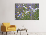 Leinwandbild 3-teilig Wilde Blumenwiese