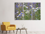 Leinwandbild 3-teilig Wilde Blumenwiese