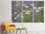 Leinwandbild 3-teilig Wilde Blumenwiese