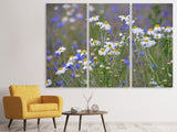 Leinwandbild 3-teilig Wilde Blumenwiese