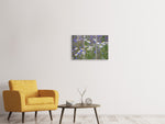 Leinwandbild 3-teilig Wilde Blumenwiese