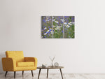 Leinwandbild 3-teilig Wilde Blumenwiese