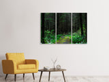 Leinwandbild 3-teilig Wilder Wald