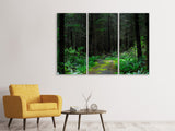 Leinwandbild 3-teilig Wilder Wald