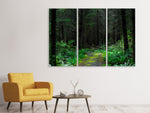 Leinwandbild 3-teilig Wilder Wald