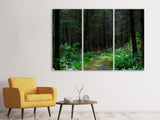 Leinwandbild 3-teilig Wilder Wald
