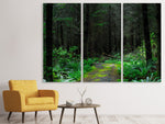 Leinwandbild 3-teilig Wilder Wald