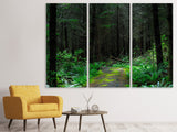 Leinwandbild 3-teilig Wilder Wald