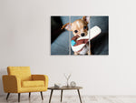 Leinwandbild 3-teilig Gehorsamer Chihuahua