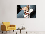 Leinwandbild 3-teilig Gehorsamer Chihuahua