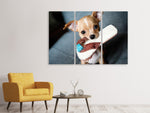 Leinwandbild 3-teilig Gehorsamer Chihuahua