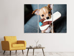 Leinwandbild 3-teilig Gehorsamer Chihuahua