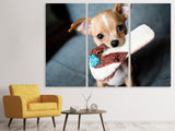 Leinwandbild 3-teilig Gehorsamer Chihuahua