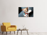 Leinwandbild 3-teilig Gehorsamer Chihuahua