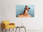 Leinwandbild 3-teilig Typisch Chihuahua