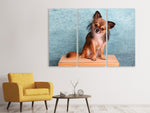 Leinwandbild 3-teilig Typisch Chihuahua